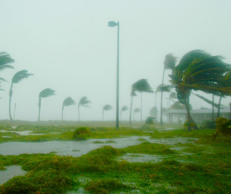Severe Weather Insurance for Business