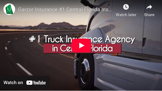 graphical user interface, website